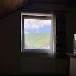 гірська палітра
