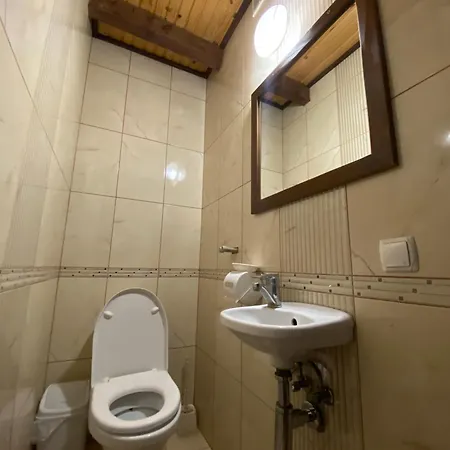 гірська палітра Guest house