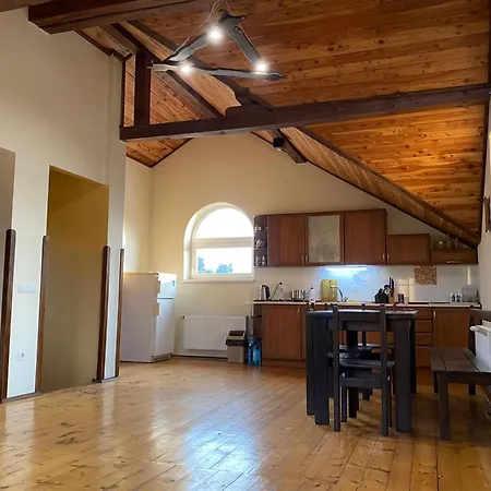 Guest house гірська палітра