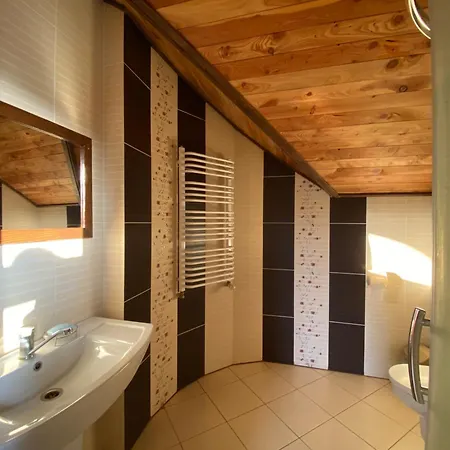 Guest house гірська палітра *