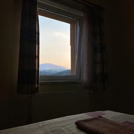 Guest house гірська палітра Slavske
