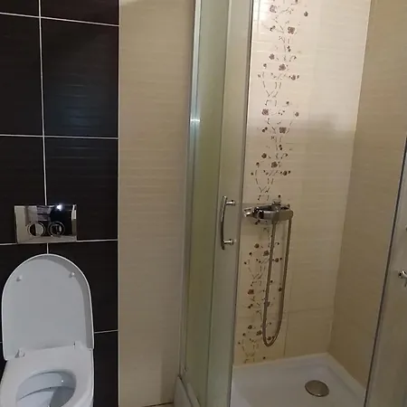 ゲストハウス гірська палітра スラブスク