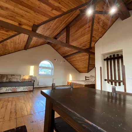 гірська палітра ゲストハウス 3*